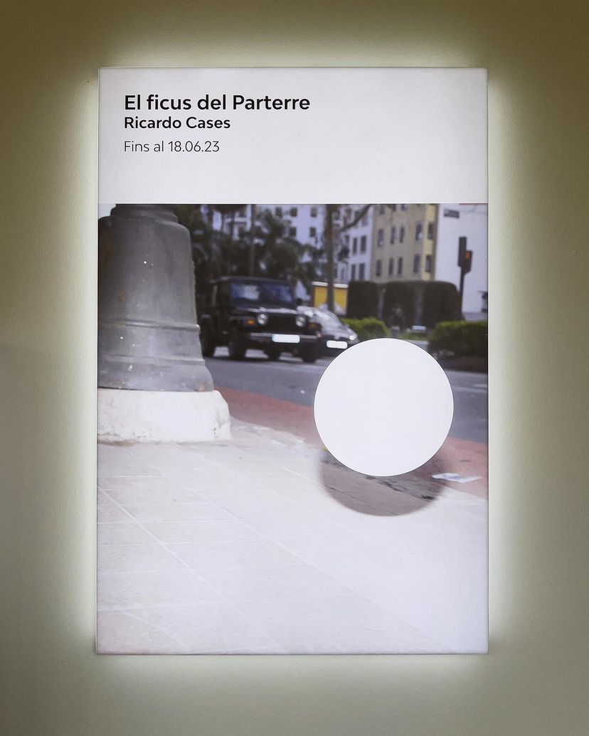 ‘El ficus del Parterre’. Ricardo Cases. Centre del Carme. Estudio Paco Mora.