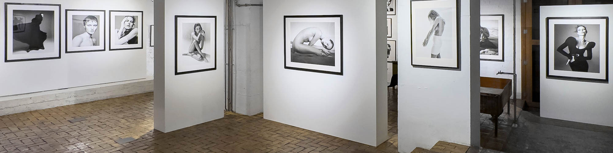 Jonathan Segade. LaTrini. Estudio Paco Mora.